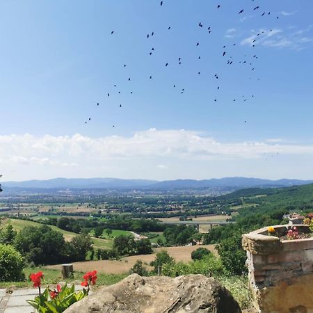 Al Podere Del Nonno Romolo Sansepolcro Dış mekan fotoğraf