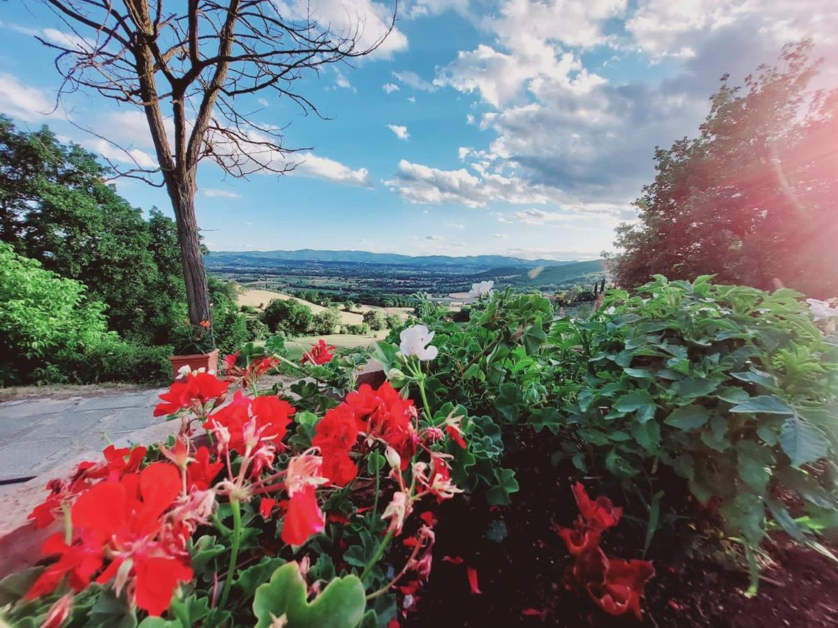 Al Podere Del Nonno Romolo Sansepolcro Dış mekan fotoğraf