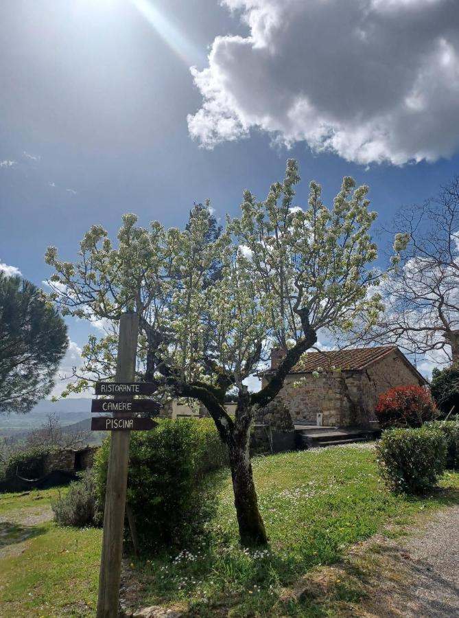 Al Podere Del Nonno Romolo Sansepolcro Dış mekan fotoğraf