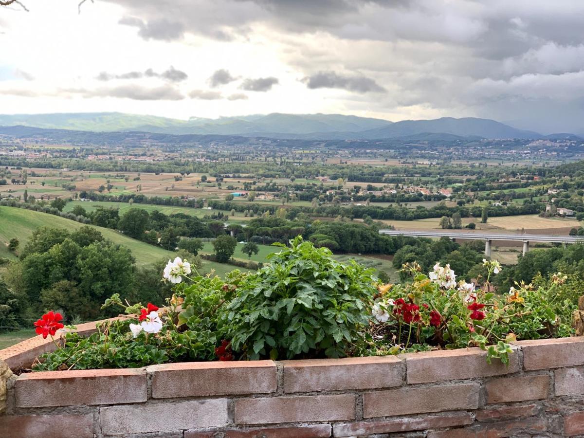 Al Podere Del Nonno Romolo Sansepolcro Dış mekan fotoğraf