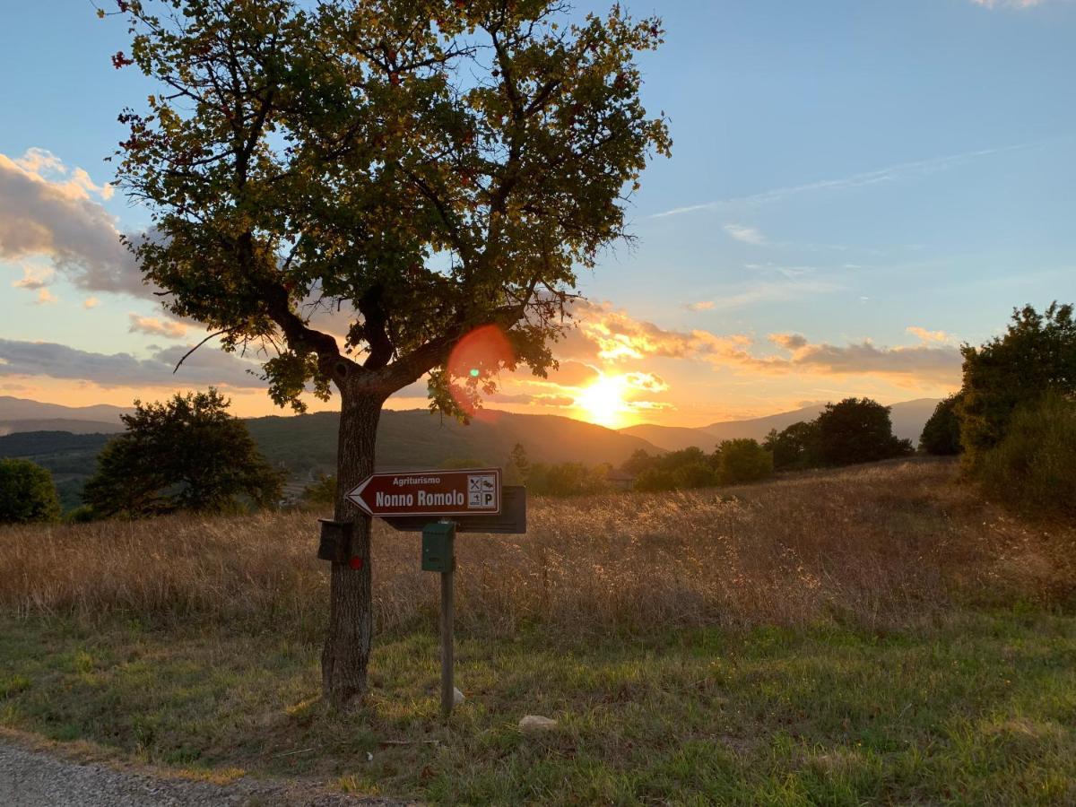 Al Podere Del Nonno Romolo Sansepolcro Dış mekan fotoğraf
