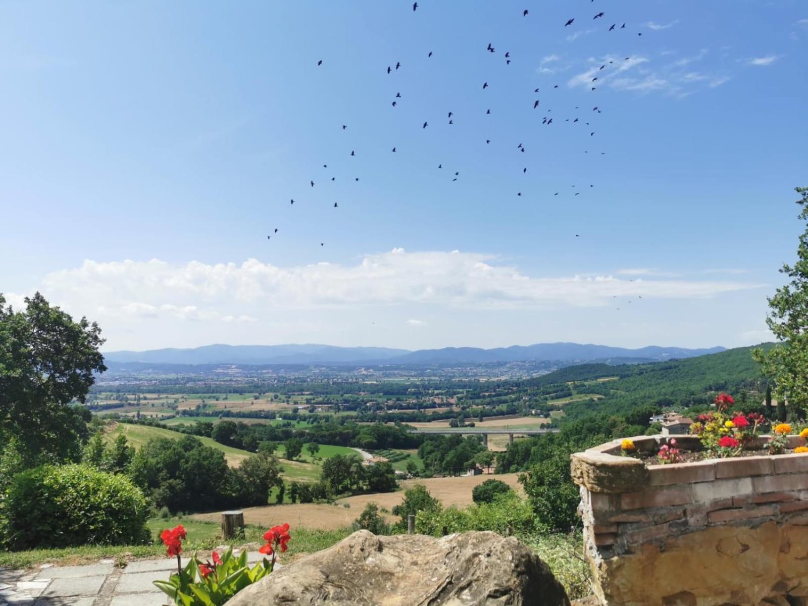 Al Podere Del Nonno Romolo Sansepolcro Dış mekan fotoğraf